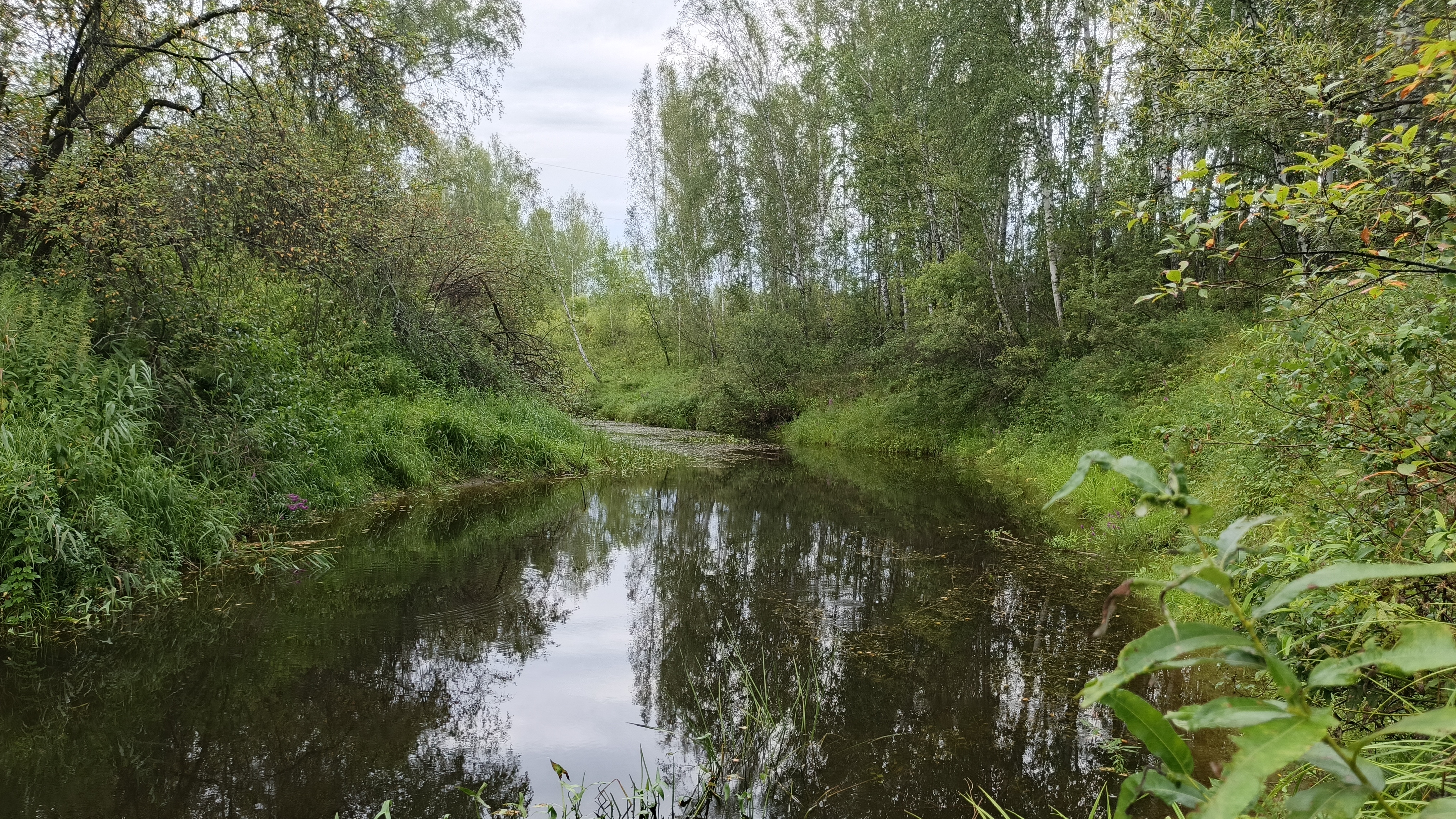 Рыбалка Прекрасное утро на таёжной речке