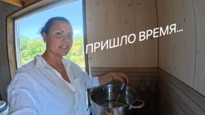 ЖИЗНЬ В ДЕРЕВНЕ КИПИТ:КУРЫ НЕСУТСЯ, ОБЛЕПИХА СОБРАНА, ПЕТУХИ ЗАБИТЫ