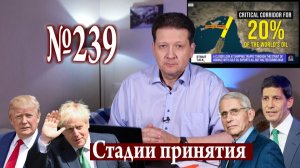 Отрицание, гнев и кризис