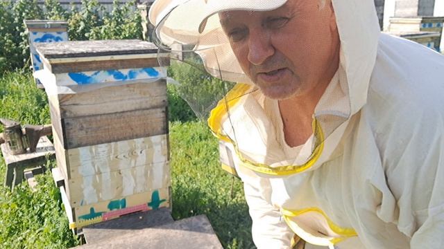 Сокращаю количество магазинных рамок и перерапределяю их по ульям, чтобы пчёлы их дозаполнили и зап