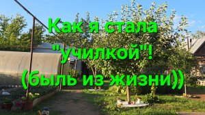 #болталка Как так вышло!🤫Вспомнилась быль из моей жизни))💼📚