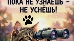 Граненый стаканчик  ✴️ 🥛🎙️