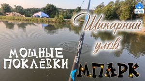 Бешенный клёв карпа на поплавок. МПарк - рыбалка и отдых. Ставропольский край.