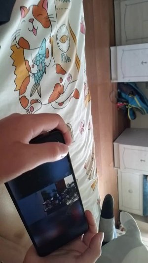 Полное прохождение Super Bear Adventure