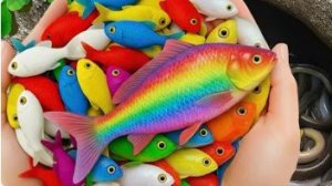 Маленький пруд — большая коллекция: черепашки, кои, красные гуппи и даже раки