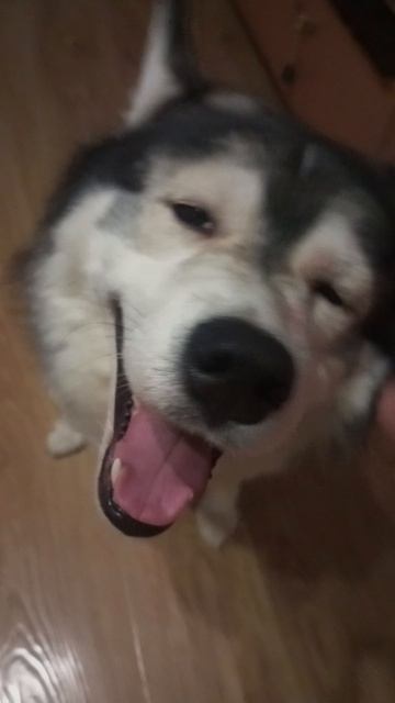кайфуша 😍😍😍 с вас лайк 😏😏
