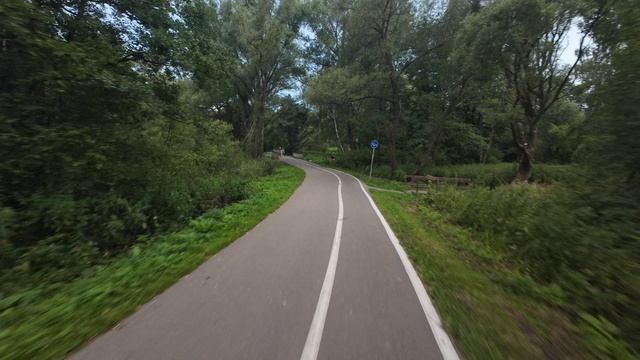 вайб круг Измайловский лесопарк 02.08.2026