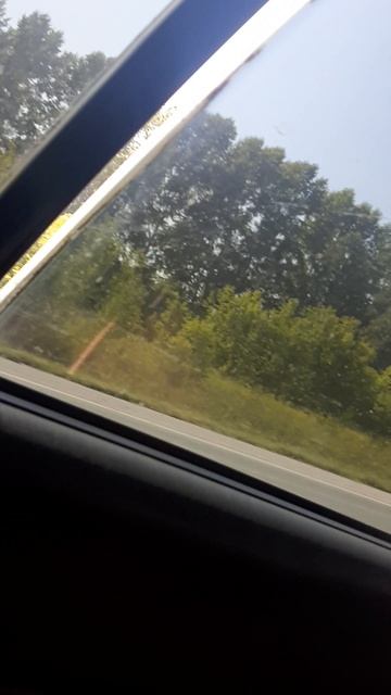 мы едем домой с природы😔
