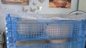 Сегодня я весь день у плиты