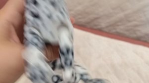 //BROWN_ HORSE\\ НОВЫЙ ПЕТ !🤫