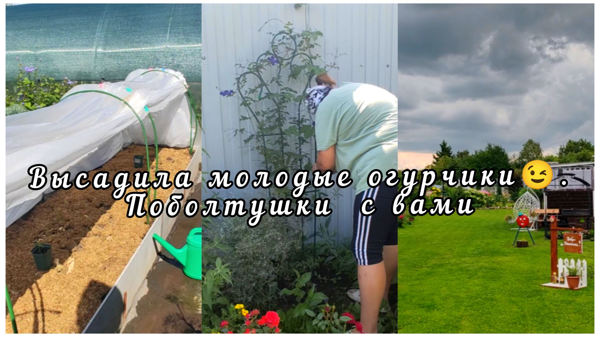 🥒 Высадила огурчики. Сад огород.💐 Мои наикрасивейшие флоксики.Любимый уголок.