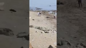 Испанская полиция,поставила непреодолимый заслон мигрантам.