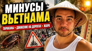 КАК ВЫЖИВАЮТ РУССКОЯЗЫЧНЫЕ ВО ВЬЕТНАМЕ. Почему Вьетнам не для всех Тараканы, жара и хаос на дорогах