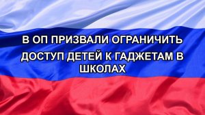 |Н. РФ| В ОП призвали ограничить доступ детей к гаджетам в школах