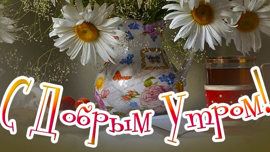 С добрым,летним утром!