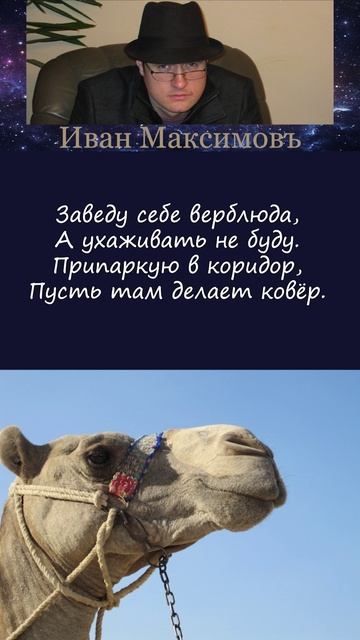Чистюлям