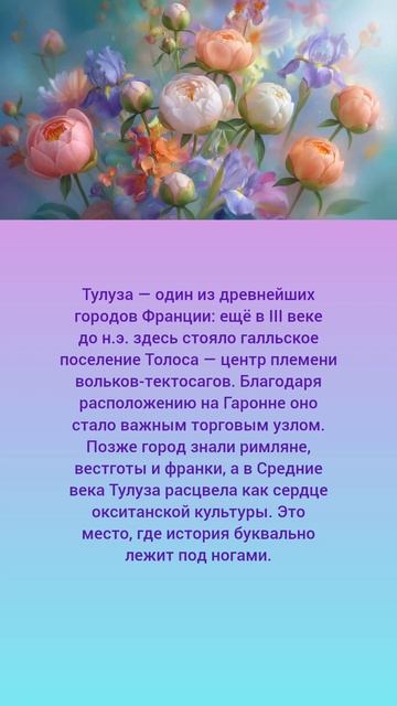 Тулуза: город, который помнит галлов 🏛️🇫🇷