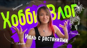 💚Зеленый ХОББИ-ВЛОГ🌿 Июльский уход за растениями: пересадки, укоренение и подкормки