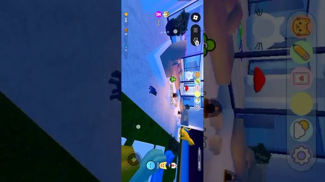 игра с котятами 2