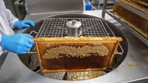 Как пчеловоды обрабатывают медовые соты.