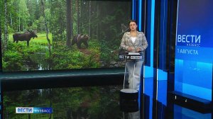 В Кузбассе выросли квоты на добычу дичи
