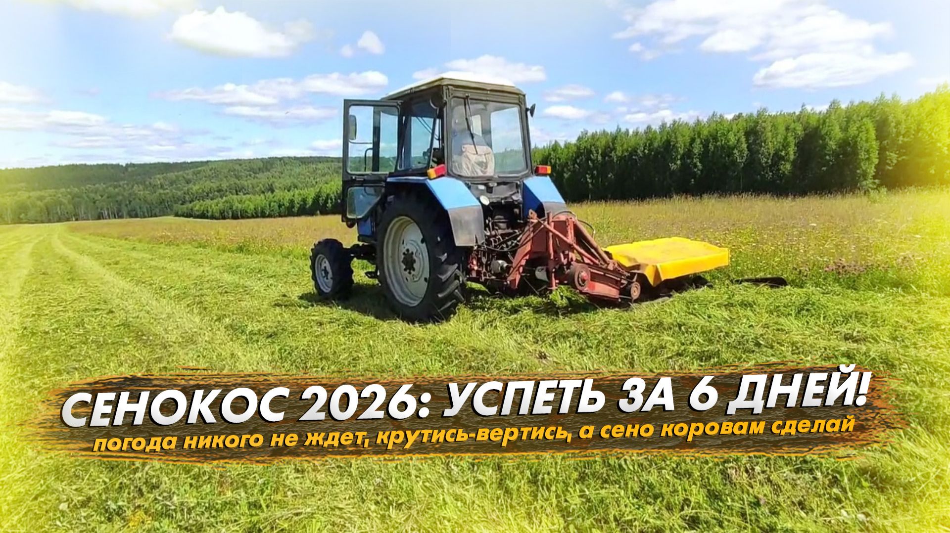 Сенокос 2026 за 6 дней. Сколько сена успели собрать?