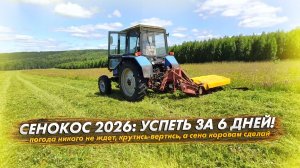 Сенокос 2026 за 6 дней. Сколько сена успели собрать?