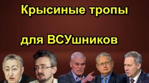 Крысиные тропы для ВСУшников