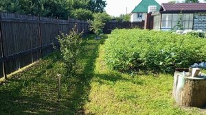 Привез 6-ти рамочник из леса, обсушка посуды пчелами...