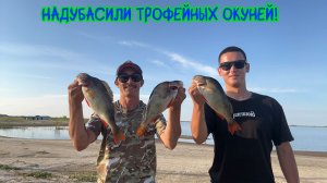 Надубасили трофейных окуней! #щука #окунь #рыбалка #хмао