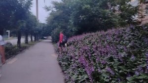 Сергей Милейко - А по весне...