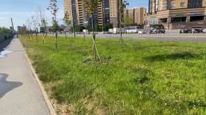 ☀️Летнии дни☀️