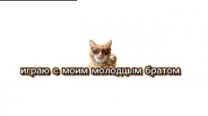 с моим молодцы братан играю в roblox