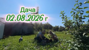 ДАЧА 2 АВГУСТА 2026 Г
