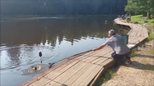 Подбор насадки - важная вещь. Клёвое место, Лосиный остров, верхний водоём.