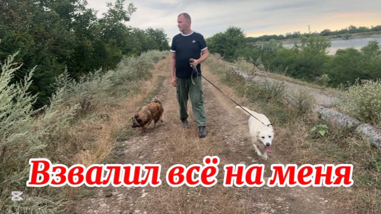 ❤️Выпал из обоймы🤣/ Так и липнут к нему девочки/ Душа теперь спокойна.