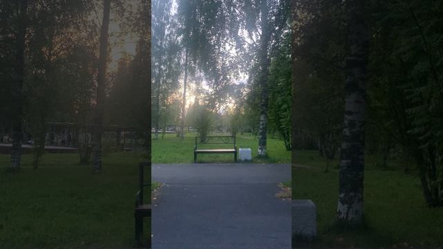 Как клоуны оружие отнимали ЗАТО Мирный Архангельская область