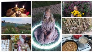Выкопала чеснок 👌 Упали огурцы в саду / Закупка продуктов на 7000р / Отметили 10 летие 🥳