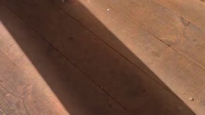 1000066104.mp4 (Собака слушает о восстановл. электрики у вентиляции, стоек на 2 эт. в доме А-фрейм)