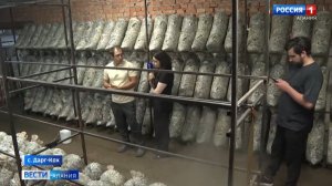 Ветеран СВО из Северной Осетии превратил мечту в бизнес с помощью господдержки