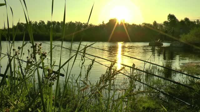 День рыбака