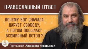 Почему Бог даровал свободу, а потом всех уничтожил в водах Потопа?  Прот. Александр Никольский