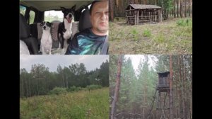 Деревенская жизнь.Поездка в лес за грибами.Приехала гостья.Вышки охотников