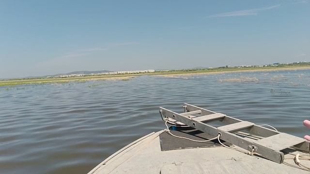 2026-08-02 Прокопчик