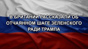В Британии рассказали об отчаянном шаге Зеленского ради Трампа