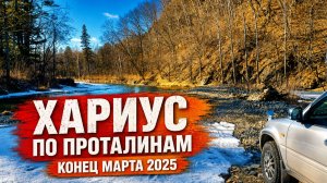 Рыбалка ранней весной по проталинам, ищем хариуса.