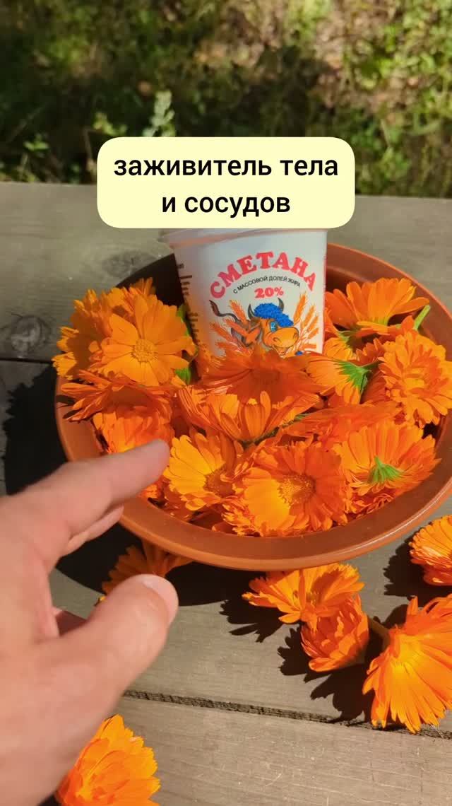 укрепит сосуды, заживит тело
