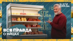 Как выбрать хорошие яйца? | Выбор Рыбова — Москва 24