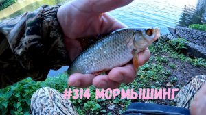 #314 Мормышинг в Царицыно 1 августа 2026