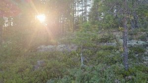 Вечер на берегу Белого моря.